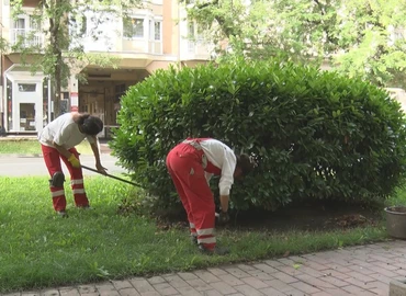 A melegben is dolgoznak, hogy a városunk szép legyen