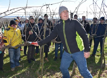 Metszési bemutatót tartott a MATE Georgikon Campusa