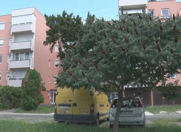 Napokon belül elkezdődnek az új parkolók építései 