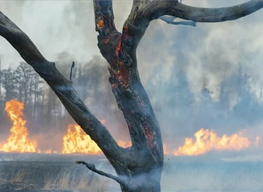 Eloltották a tüzet a Kis-Balatonnál, 600 hektárnyi terület égett le