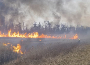 24 hektáros területen ég az aljnövényzet a Kis-Balaton térségében (Frissítve: Több száz hektárnyi terület égett le)