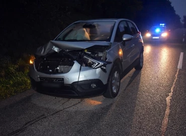 Figyeljen a vadakra: őz, borz, szarvas az utakon