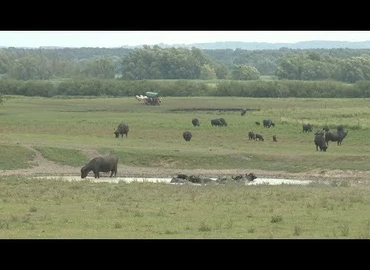 Embedded thumbnail for Kanizsa TV Híradó - 2019. július 9.