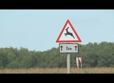 Embedded thumbnail for Kanizsa TV Híradó - 2021. augusztus 25.