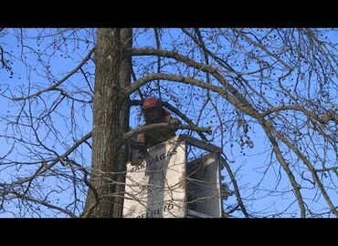 Embedded thumbnail for Kanizsa TV Híradó - 2019. január 14.