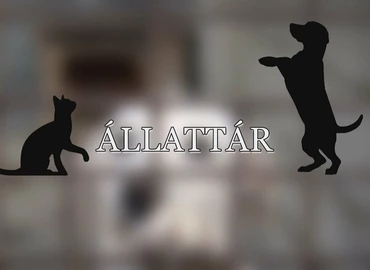 Embedded thumbnail for Állat Tár - 2024. március 29.