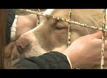 Embedded thumbnail for Kanizsa TV Híradó - 2020. december 18.