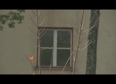 Embedded thumbnail for Kanizsa TV Híradó - 2017. szeptember 16.