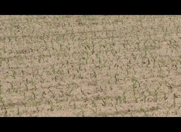 Embedded thumbnail for Kanizsa TV Híradó - 2021. május 27.