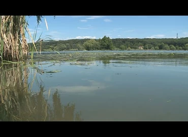 Embedded thumbnail for Kanizsa TV Híradó -