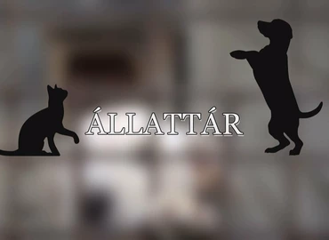 Embedded thumbnail for Állat Tár - 2024. február 22.