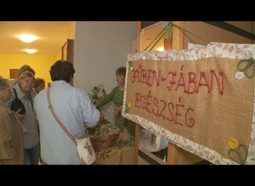 Embedded thumbnail for Kanizsa TV Híradó - 2017. szeptember 25.