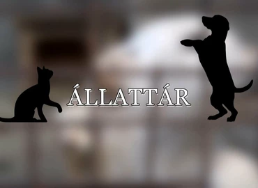 Embedded thumbnail for Állat Tár - 2023. február 23.