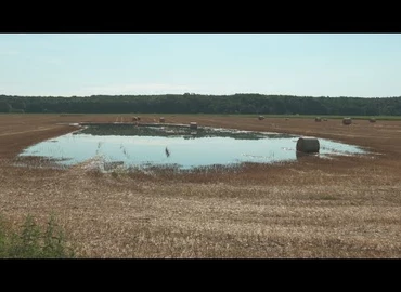 Embedded thumbnail for Kanizsa TV Híradó - 2020. július 30.