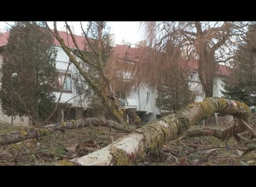 Embedded thumbnail for Kanizsa TV Híradó - 2021. december 13.