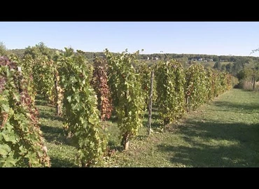 Embedded thumbnail for Kanizsa TV Híradó - 2021. október 19.