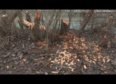 Embedded thumbnail for Kanizsa TV Híradó - 2023. január 20.