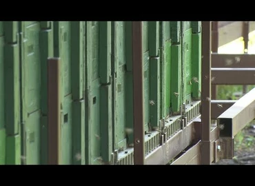 Embedded thumbnail for Kanizsa TV Híradó - 2023. augusztus 8.